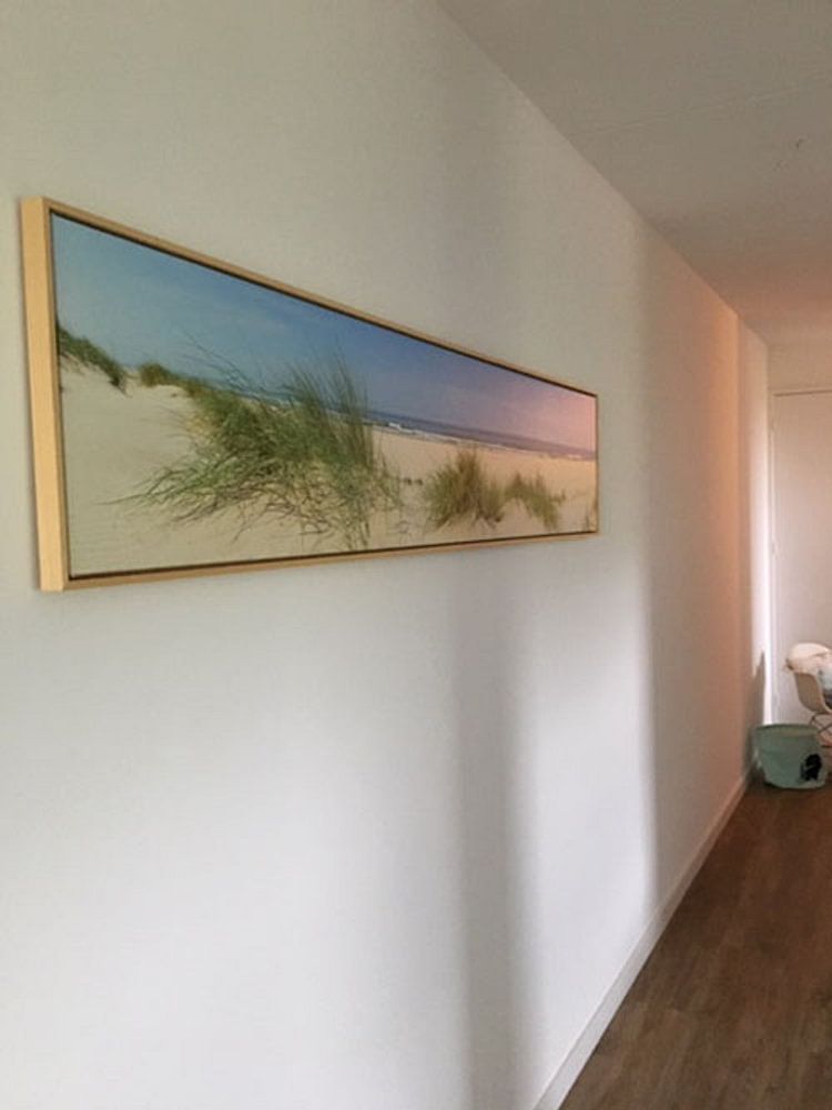 Dune grass at the beach on a summer day