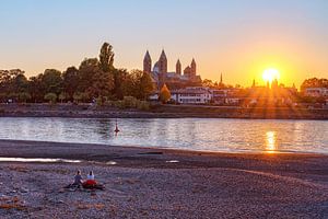 Coucher de soleil sur le Rhin près de Speyer