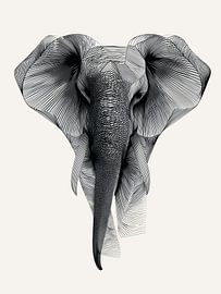 Elephant line art: black and white, modern by Wolkenlos