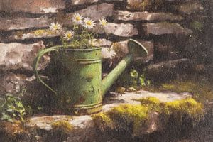 Gießkanne mit Gänseblümchen