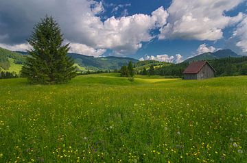 Austria Tirol - Tannheimer Tal by Steffen Gierok
