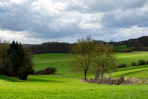 Golvend landschap Ardennen