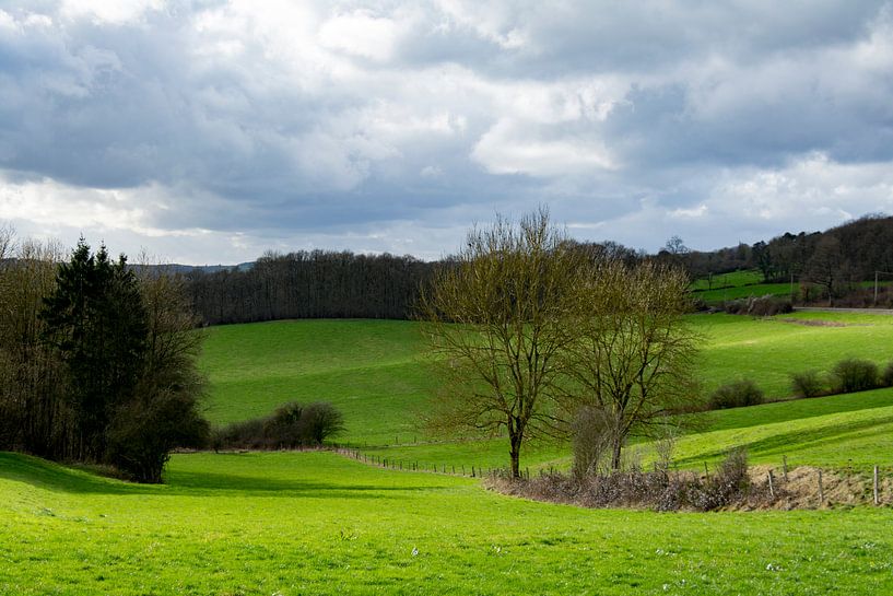 Paysage ondulant dans les Ardennes par Ton de Koning