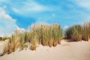 kust van Texel met de duinen van eric van der eijk