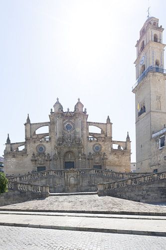 Collegiale kerk van Onze-Lieve-Vrouw van Sint Salvador in Jerez de la Frontera, provincie Cádiz, Andalusië, Spanje.