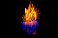 burning heart (2) van Norbert Sülzner thumbnail