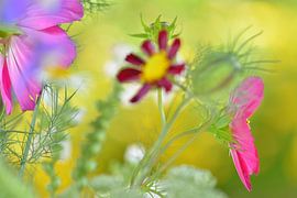 flowers, impressionism 2 by appie bonis