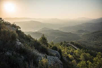 Ein magischer Sonnenaufgang am Montserrat in Spanien von Tobias van Krieken