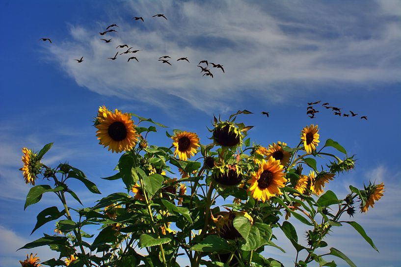 Départ par Edgar Schermaul