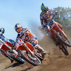 Coldenhof Herlings and Cairoli by Walter Kleeven