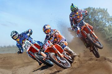 Coldenhof Herlings and Cairoli by Walter Kleeven