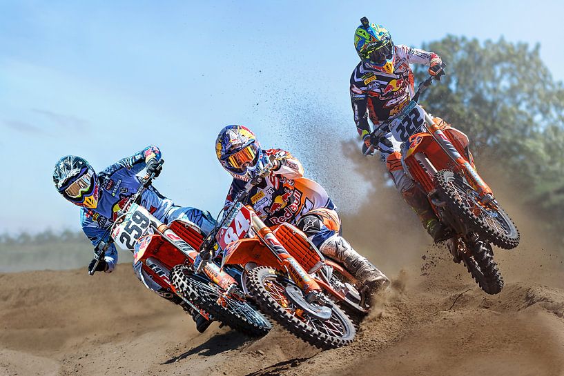 Coldenhof Herlings et Cairoli par Walter Kleeven