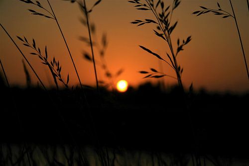 Zonsondergang Woerden