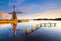 De reiger en de Helper
