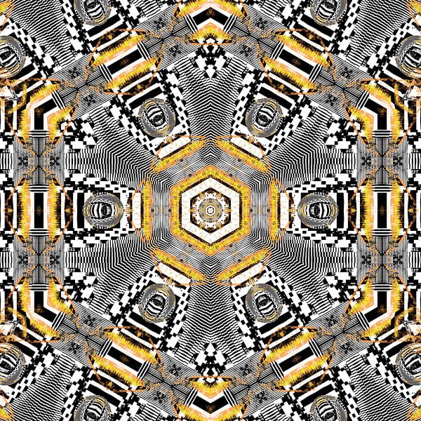Zebra mandala by Nina IoKa