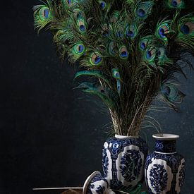 Peacock, peacock, I'm prettier than you by Leoniek van der Vliet