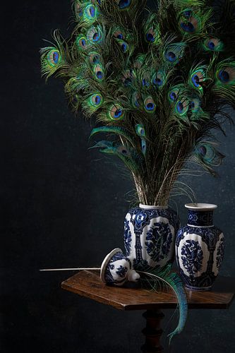 Pfau, Pfau, ich bin hübscher als du von Leoniek van der Vliet