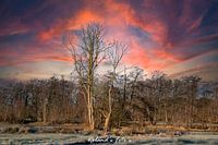 Fire in the Sky