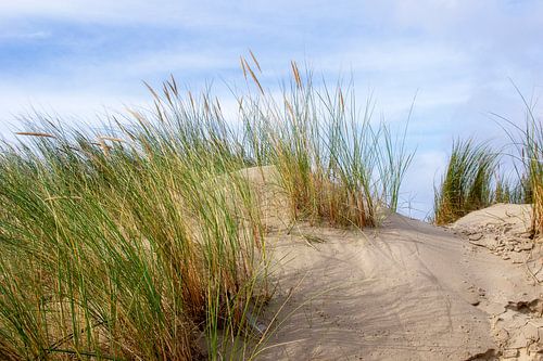 Strand-3