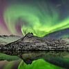 Northern Lights, Aurora Borealis over the Lofoten in Norway by Sjoerd van der Wal