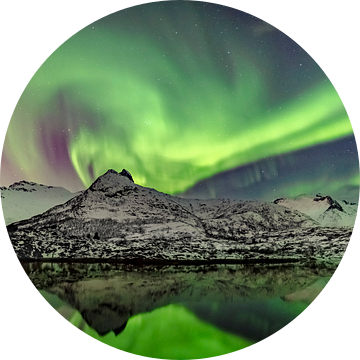 Noorderlicht, poollicht of Aurora Borealis in de nachtelijke hemel boven de Lofoten in Noorwegen van Sjoerd van der Wal Fotografie