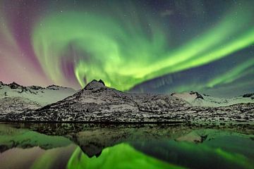 Les aurores boréales, la lumière polaire  dans le ciel nocturne sur les îles Lofoten de la Norvège sur Sjoerd van der Wal