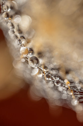 Warme chique natuurlijke abstractie - lijnen met druppels van Marjolijn van den Berg