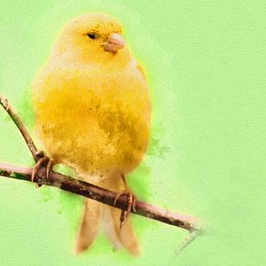 Canari jaune sur Art by Jeronimo