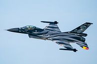 Dark Falcon 2019 by Marc Hederik Fotografie thumbnail