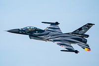 Dark Falcon 2019