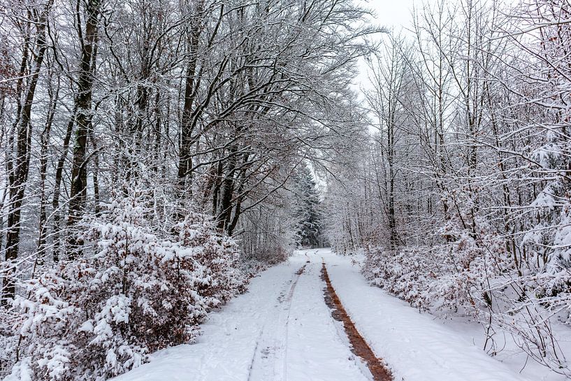 Winterliche Entdeckungstour durch den Thüringer Wald von Oliver Hlavaty