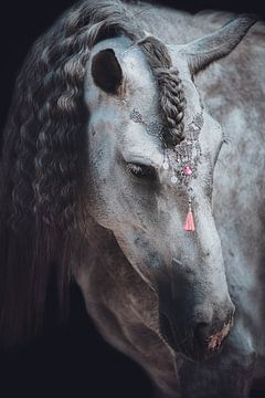 Portrait artistique d'un cheval avec des bijoux roses sur Shirley van Lieshout