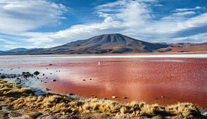 Laguna Colorada