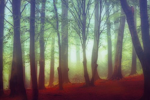 Magical - Mystical forest by Dirk Wüstenhagen