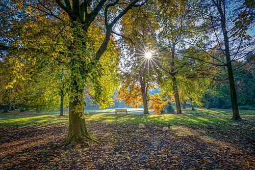 Autumn in the Euromast Park