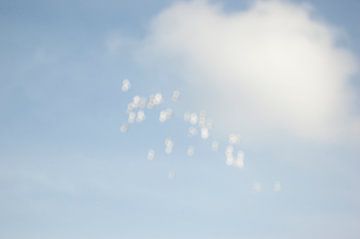 Nederlandse lucht: wolk met regendruppels / vogels van Irene Cecile