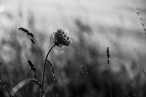 Das Ufer entlang des Deiches nach Marken