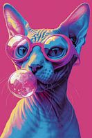 sphynx cat