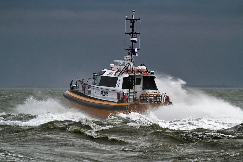 Pilot boat Lynx by Henk Noevers