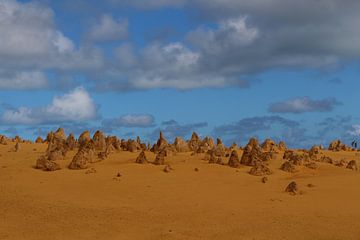 Pinnacles in Nambung National Park, West-Australië van Ines Porada