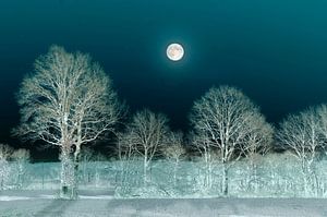 La nuit de pleine lune