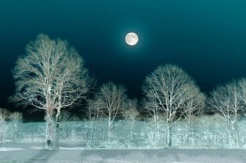 La nuit de pleine lune