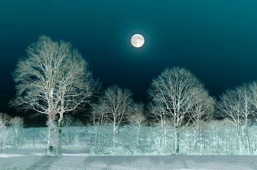 De nacht met volle Maan