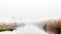 Brug in de mist
