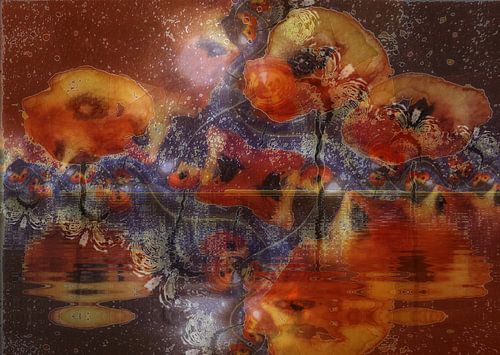 Klaprozen - Water klaproos