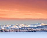 Winter in Zweden van Hamperium Photography thumbnail