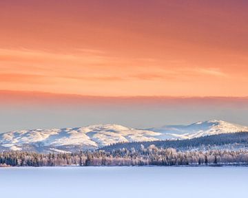 Winter in Zweden van Hamperium Photography