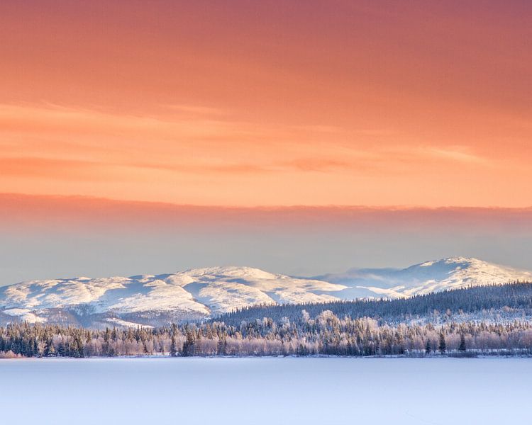 Winter in Zweden van Hamperium Photography
