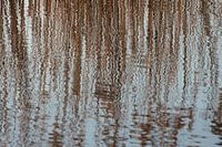 Weerspiegeling 