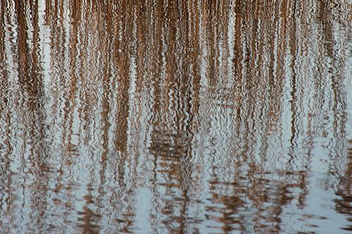 Weerspiegeling  von Anja van Deursen